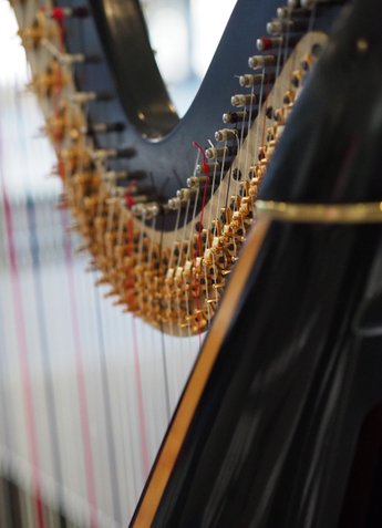 Een harp, een instrument dat bespeeld wordt door een talent van de stichting Jong Talent